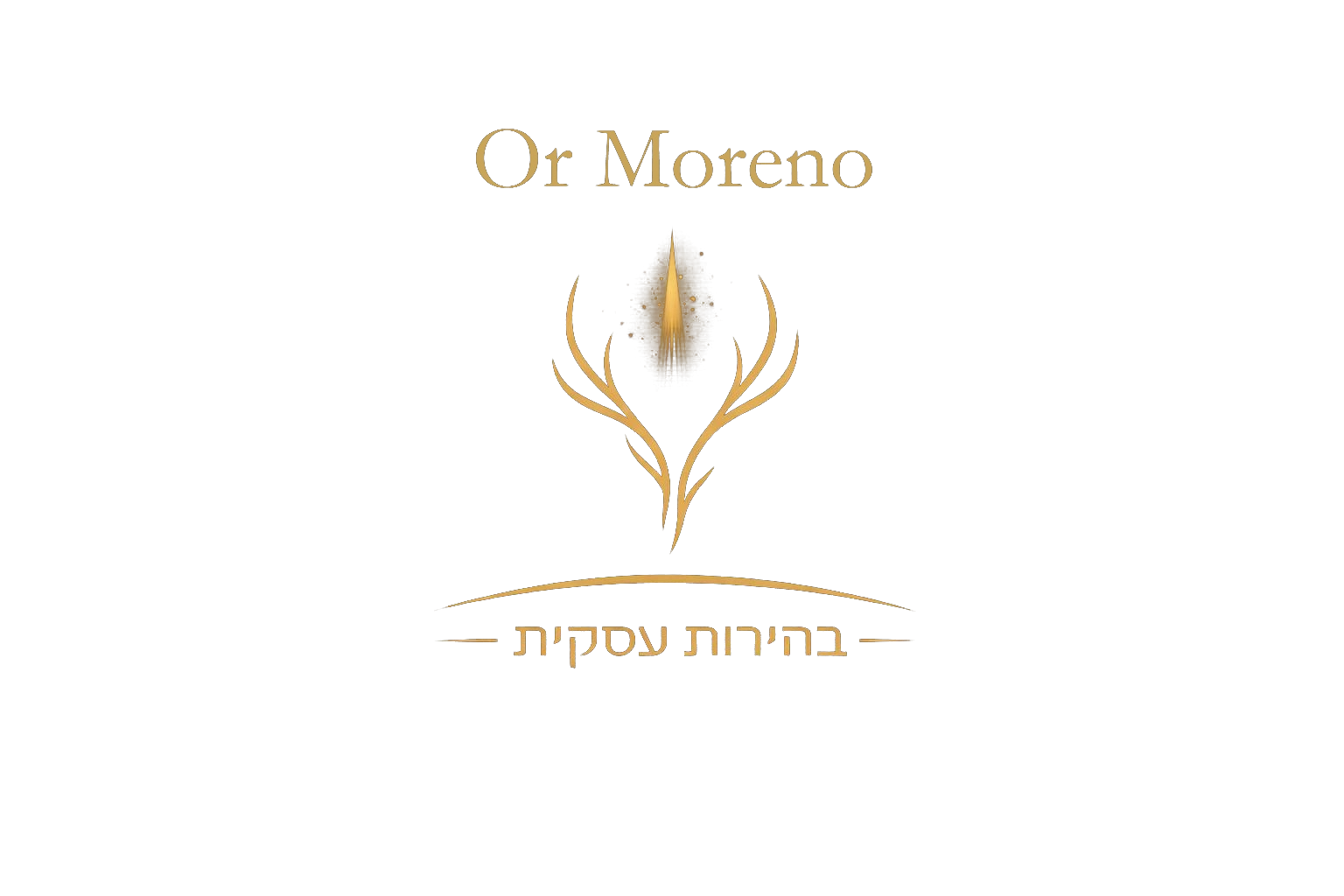 Or Moreno | בהירות עסקית